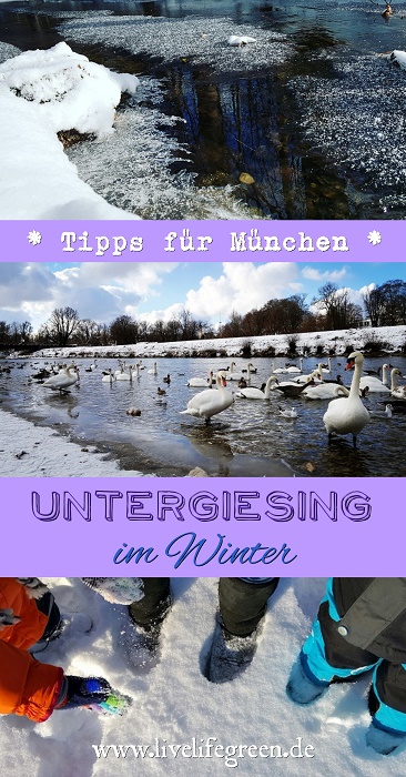Pinterest-Pin: München Tipps Winterzauber in Untergiesing