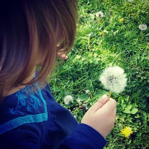 Pusteblumen-Liebe