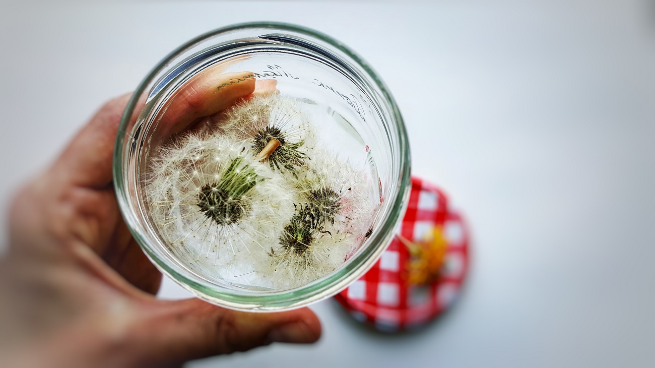 Pusteblumen - Wünsche im Glas zum Verschenken