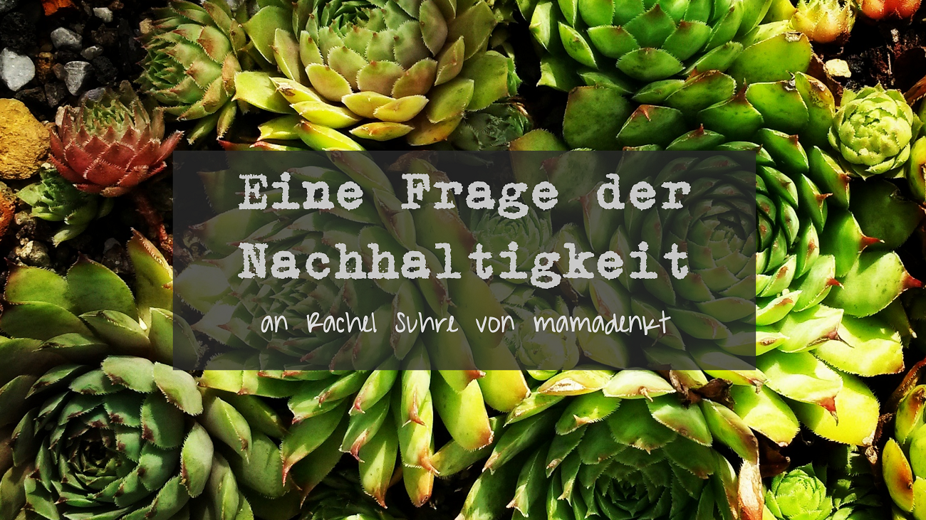 Interview-Serie mit Rachel Suhre von mamadenkt: Eine Frage der Nachhaltigkeit