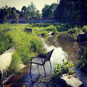 Sommer in Untergiesing Rosengarten Bach