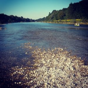 Sommer in Untergiesing Isar