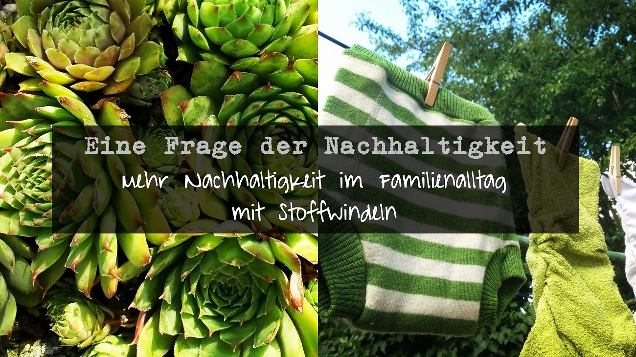 Eine Frage der Nachhaltigkeit Frage#2: Mehr Nachhaltigkeit mit Stoffwindeln?