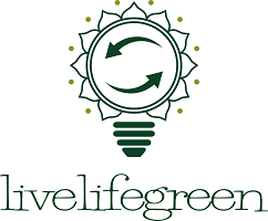 Nachhaltigkeitsblog livelifegreen | Ideen und Tipps für Klimaschutz, Zero Waste und Nachhaltigkeit im Alltag