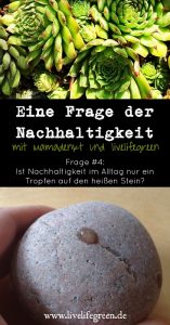 Pinterest-Pin: Eine Frage der Nachhaltigkeit. Lohnt sich nachhaltiger Alltag überhaupt?