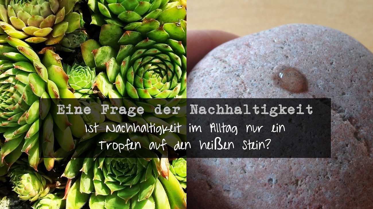 Eine Frage der Nachhaltigkeit Frage #4: Lohnt sich ein nachhaltiger Alltag oder ist er nur ein Tropfen auf den heißen Stein?