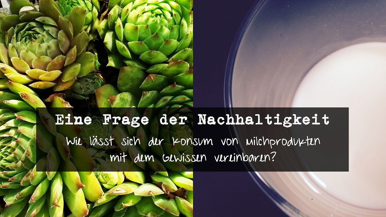 Eine Frage der Nachhaltigkeit zum Konsum von Milchprodukten