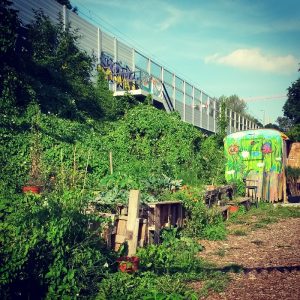 Familienbaum-viel Platz zum Spielen