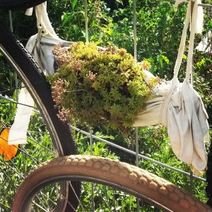 Familienbaum-Upcycling