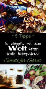 Pinterest-Pin: Die Welt retten trotz Alltagsstress