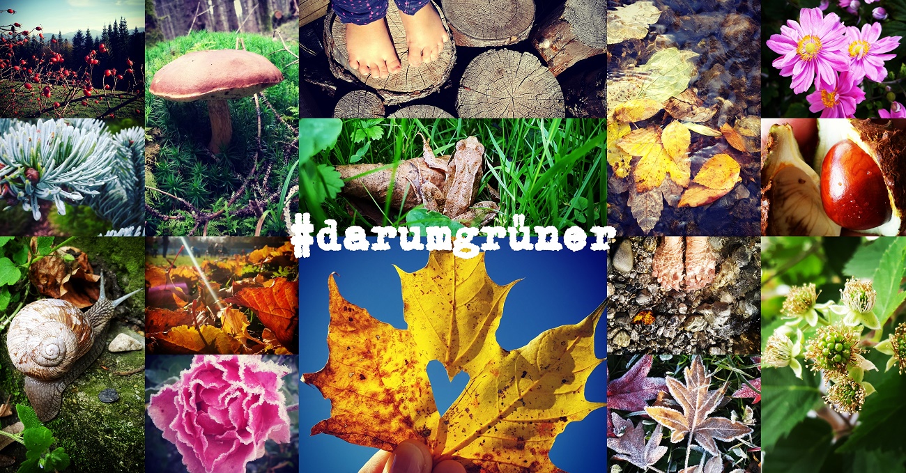#darumgrüner-weil unsere Welt ein wunderbarer Ort ist-Blogparade-