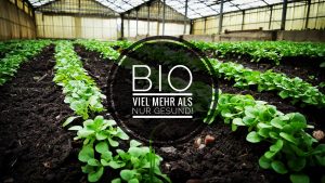 Bio-angewandter Klimaschutz