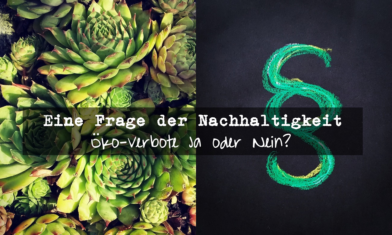 Eine Frage der Nachhaltigkeit-Würden Öko-Verbote dem Klimaschutz helfen?