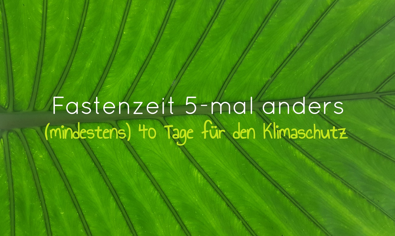 5 Ideen für eine nachhaltige Fastenzeit-Fastenalternativen