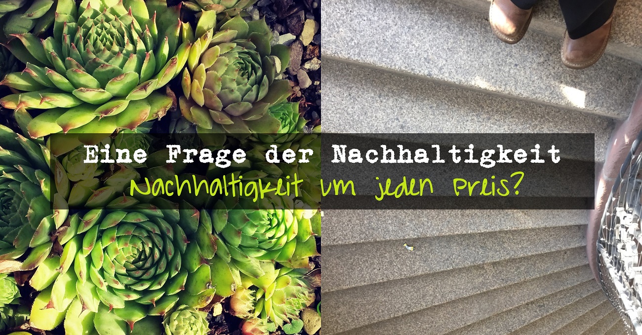 Nachhaltigkeit um jeden Preis? Dogmatisch oder tolerant? Eine Frage der Nachhaltigkeit mit MamaDenkt und livelifegreen