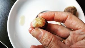 Baumperlen und Hexeneier schälen und ölen
