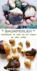 Pinterest-Pin: Baumperlen und Hexeneier sammeln im Wald