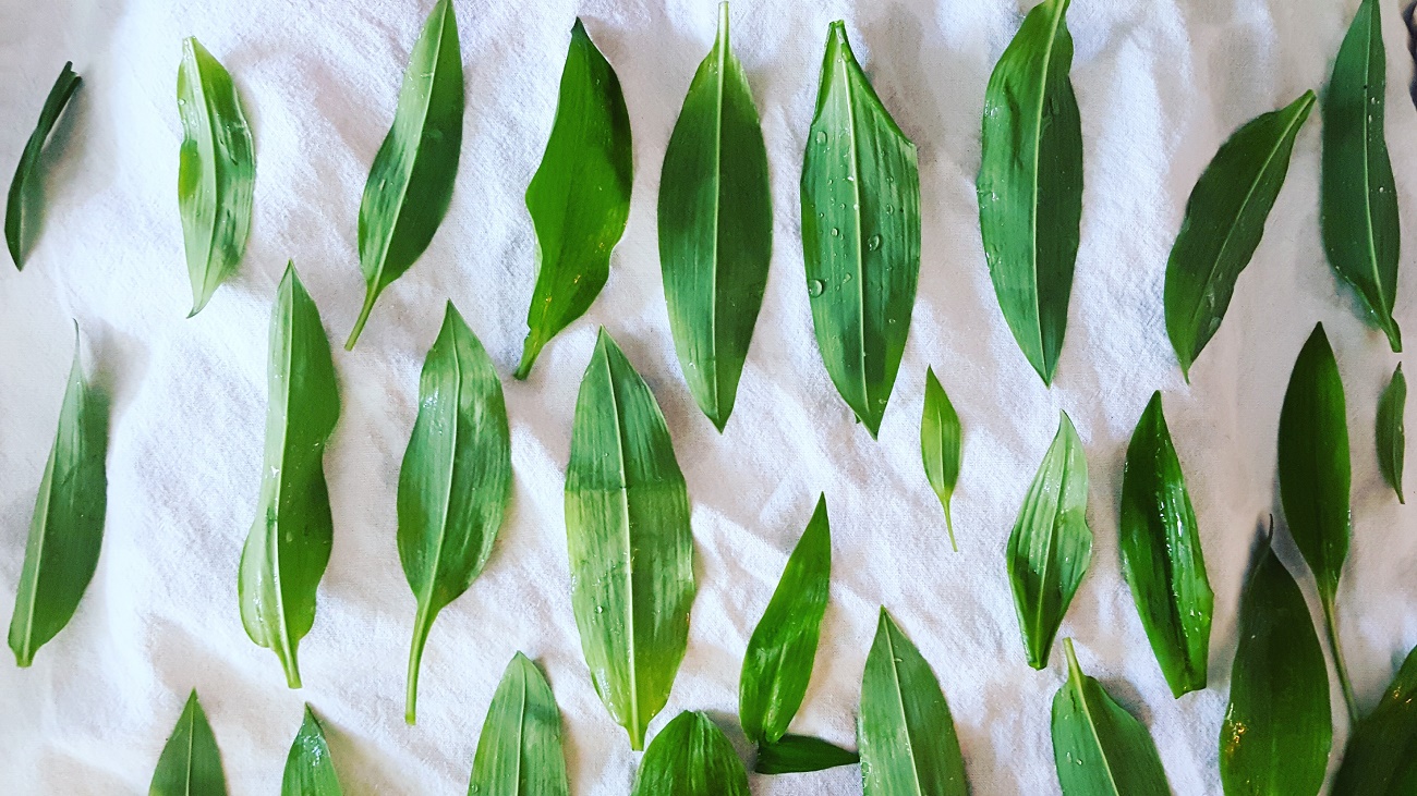 Bärlauchpesto schnell selber machen