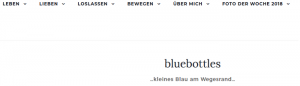 Nachhaltigkeit Blog: bluebottles