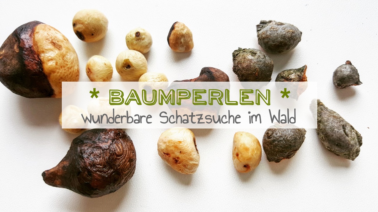 Baumperlen und Hexeneier sammeln im Wald