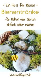 Pinterest-Pin: DIY-Bienentränke für Balkon und Garten