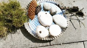 DIY Bienentränke selber bauen: Material