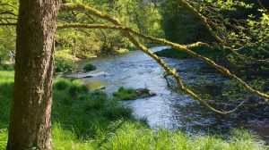 Mit Waldzeit unterwegs im Bayerischen Wald