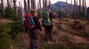 Mit Waldzeit unterwegs im Bayerischen Wald
