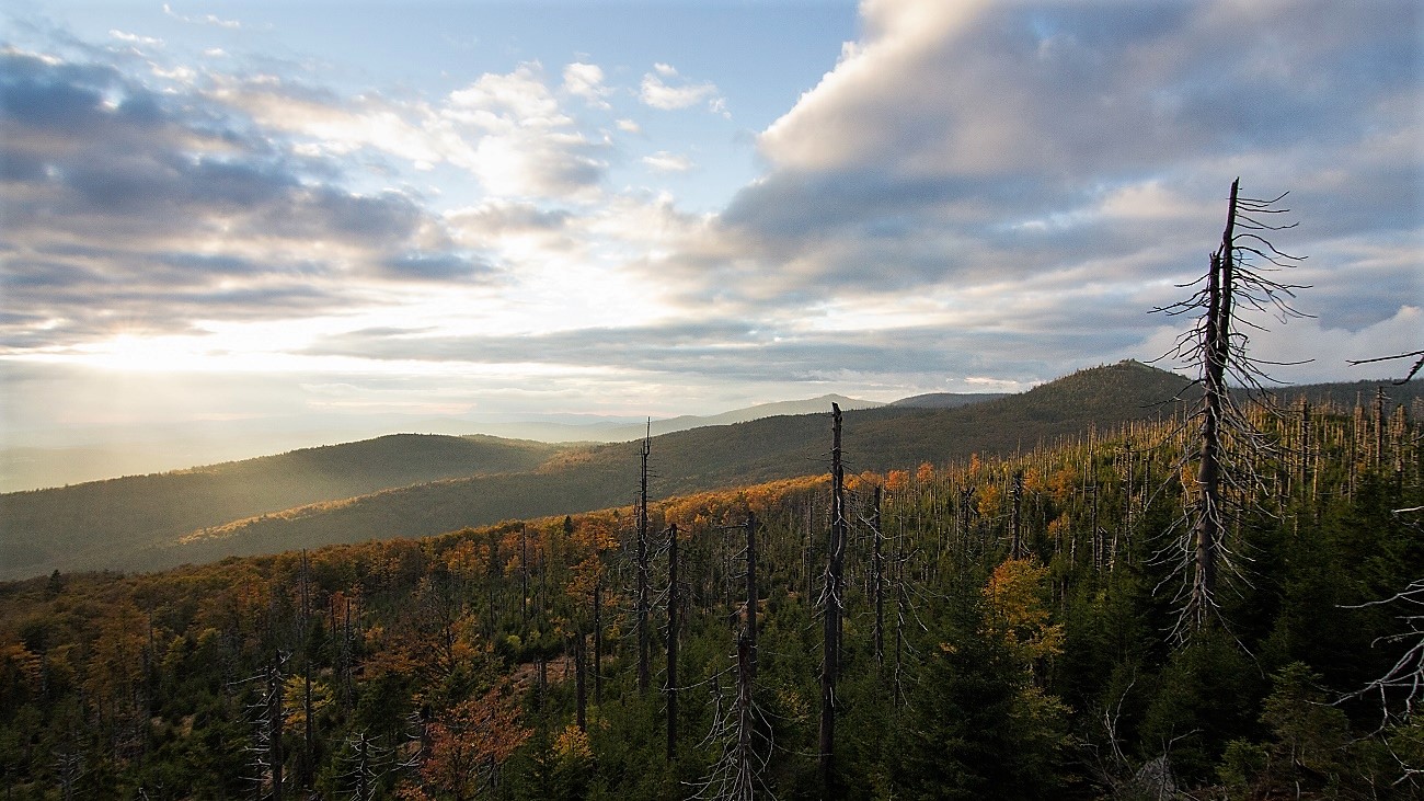 Waldzeit e.V. nachhaltig Urlaub machen im herzen des Nationalpark Bayerischer Wald