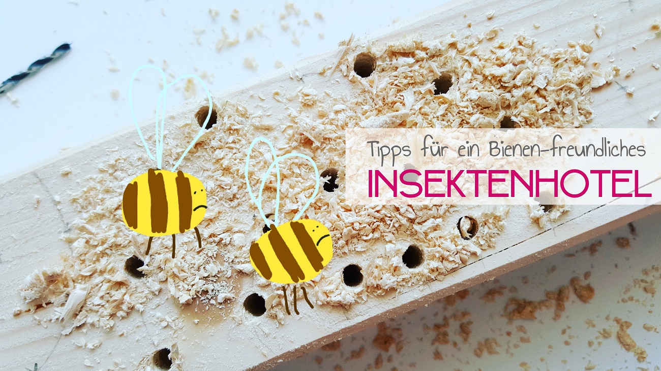 Tipps für ein artgerechtes Insektenhotel für Wildbienen und Co.