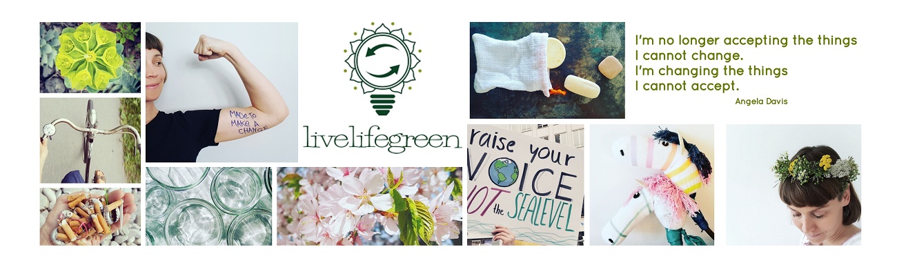 Nachhaltigkeitsblog livelifegreen Tipps und Ideen für ein nachhaltiges Leben, mehr Klimaschutz und Zero Waste im Alltag