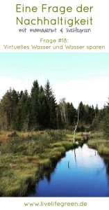 Pinterest-Pin: Virtuelles Wasser und Wasser sparen