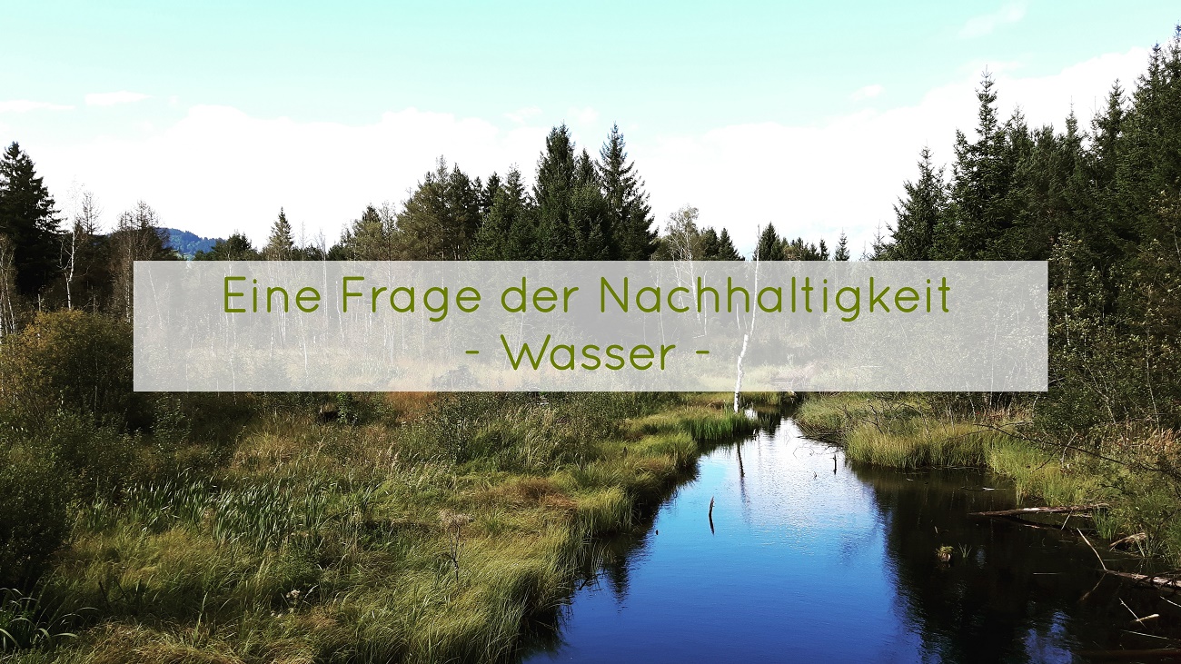 Virtuelles Wasser und Wasser sparen: Eine Frage der Nachhaltigkeit