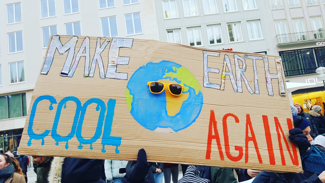 #bloggersforfuture: Blogparade von livelifegreen aus Solidarität für unsere Kinder