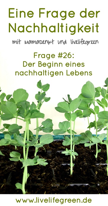 Eine Frage der Nachhaltigkeit: Wie pflanzt man den grünen Samen für ein umweltbewusstes Leben?