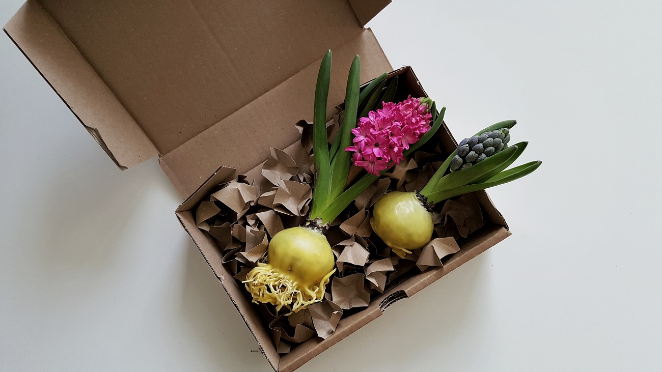 Frühlingsblumen in Wachs: DIY-Frühlingsgrüße aus Tulpen, Hyazinten und Narzissen zum Verschenken