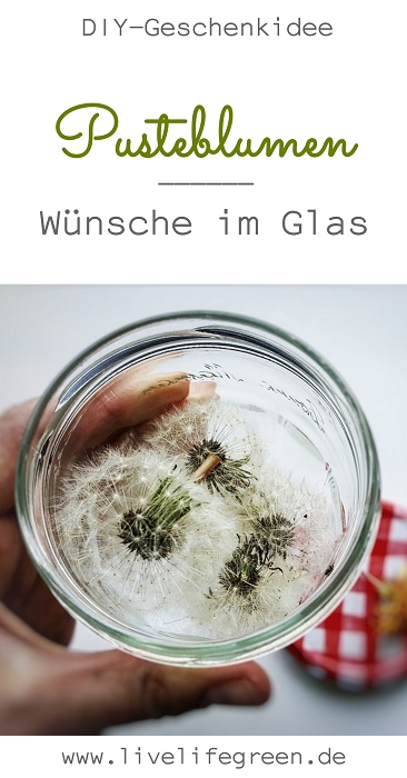 Pinterest-Pin: Pusteblumen im Glas - Kostenlose Geschenkidee und Wünsche zum Verschenken