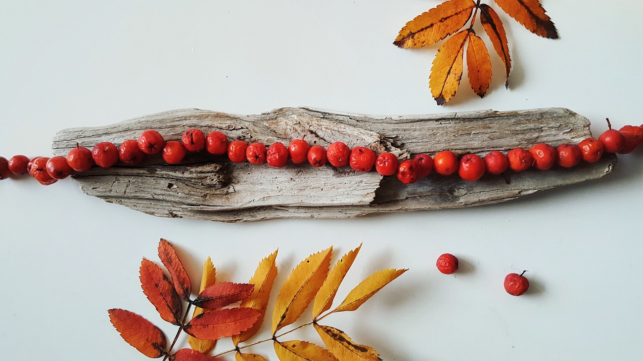 Basteln mit Vogelbeeren - Kette aus Eberesche