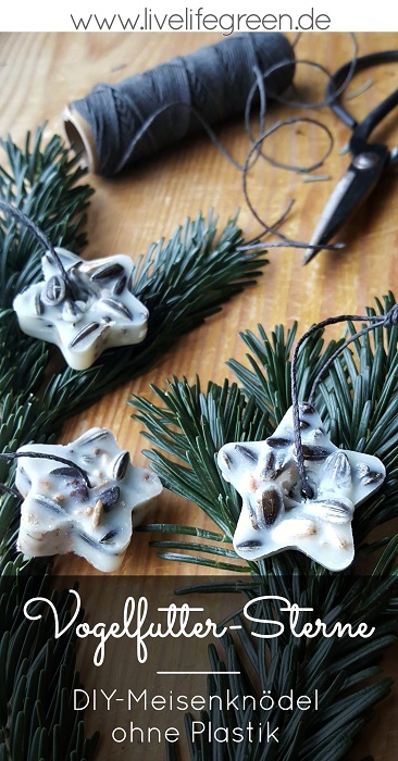 Pinterest-Pin: DIY-Meisenknödel, Vogelfutter-Sterne selber machen