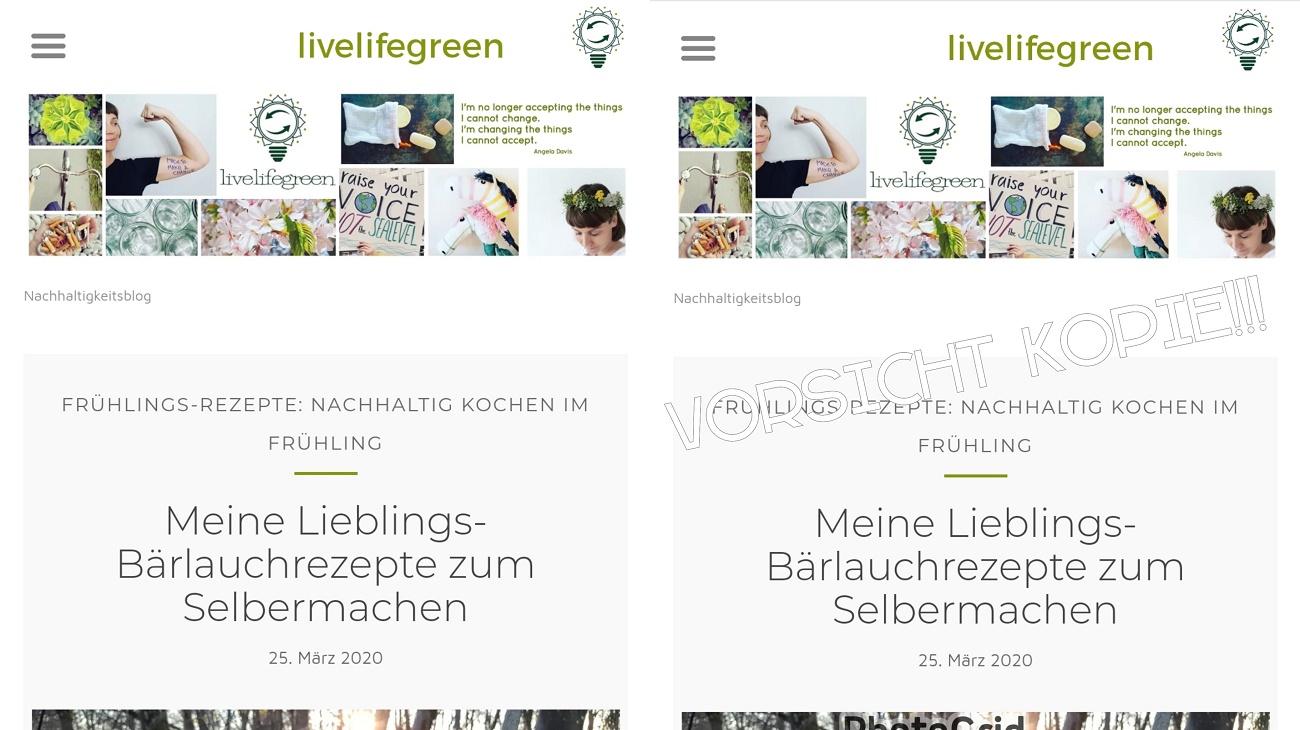 Meine Webseite livelifegreen.de wurde kopiert - das kannst du tun, wenn es dir genauso geht