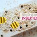 Tipps für ein artgerechtes Insektenhotel für Wildbienen und Co.
