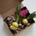 Frühlingsblumen in Wachs: DIY-Frühlingsgrüße aus Tulpen, Hyazinten und Narzissen zum Verschenken
